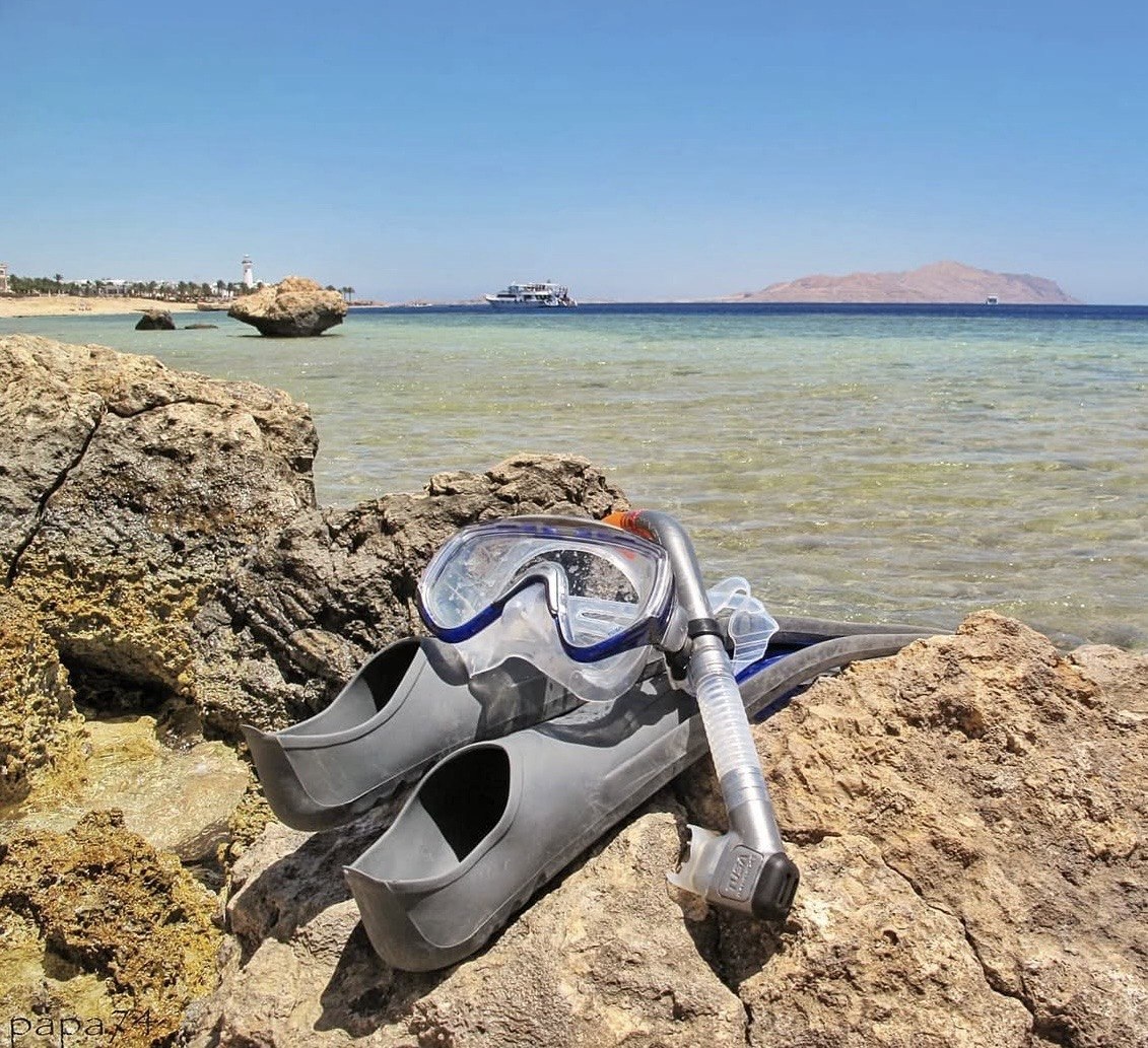 Подводный мир Красного моря фото 3