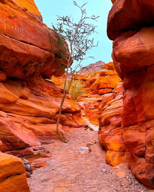 Цветной каньон Салама: 5 в 1 фото 1