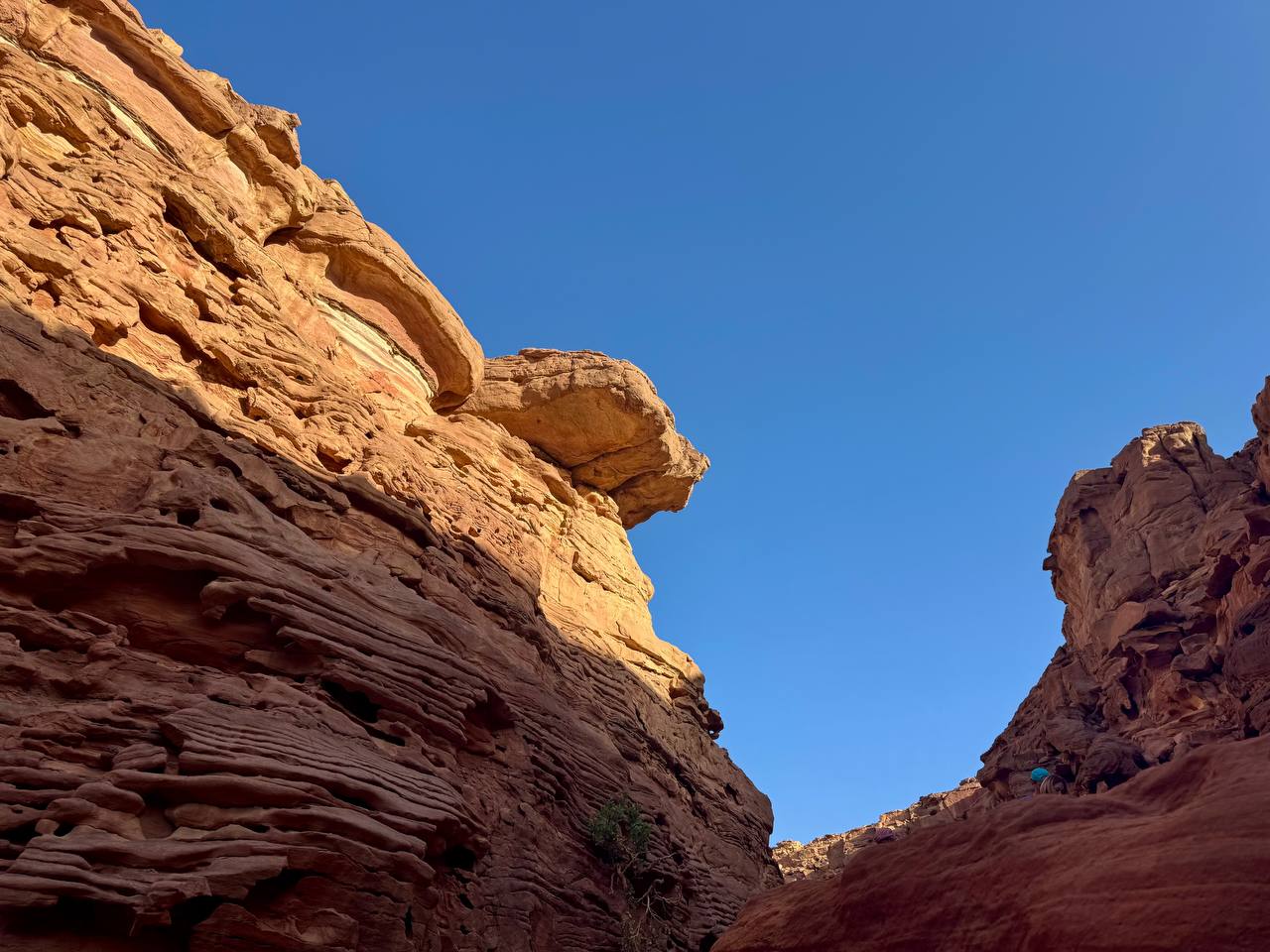 Цветной каньон Салама: 5 в 1 фото 3